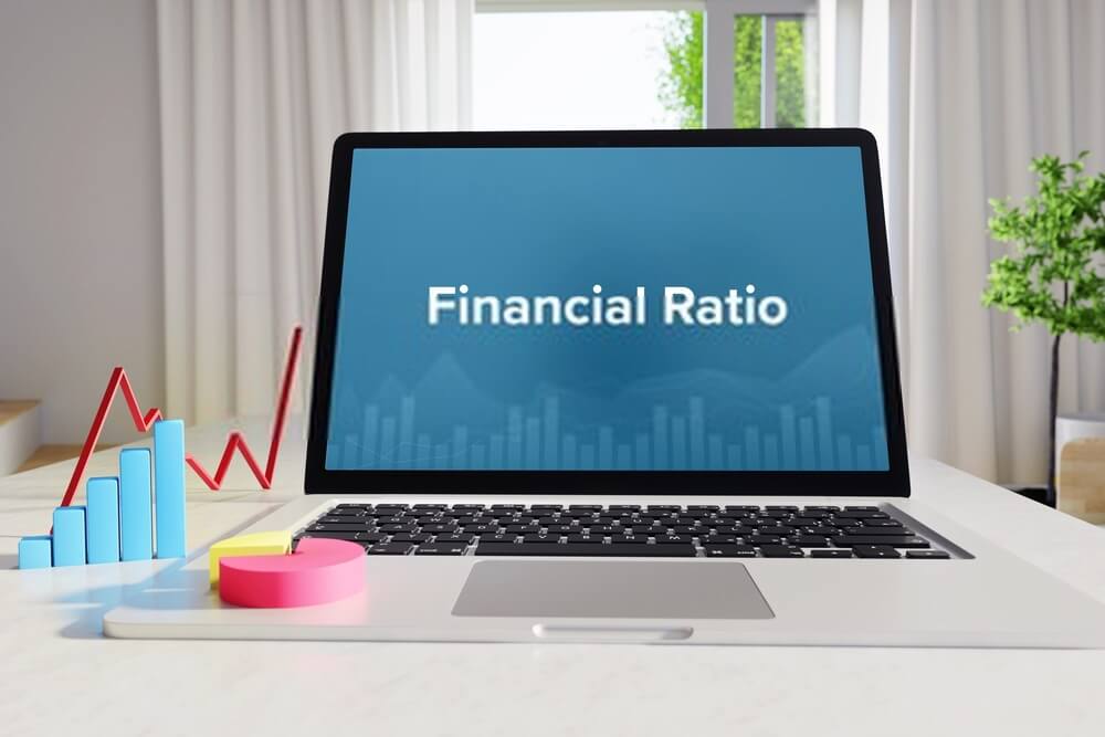 Details Of Financial Ratio Assignment